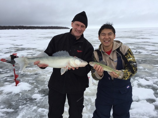 Walleye