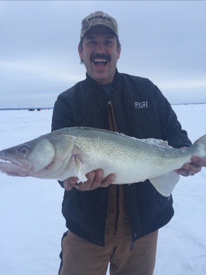 Walleye