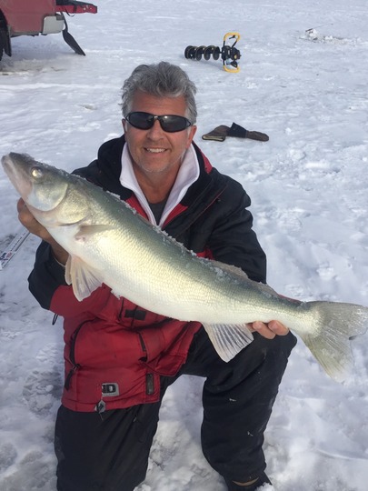 Walleye