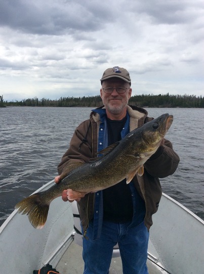 Walleye