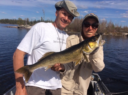 Walleye