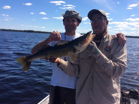 Walleye