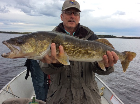 Walleye