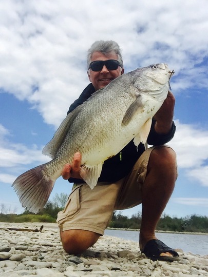 Freshwater Drum