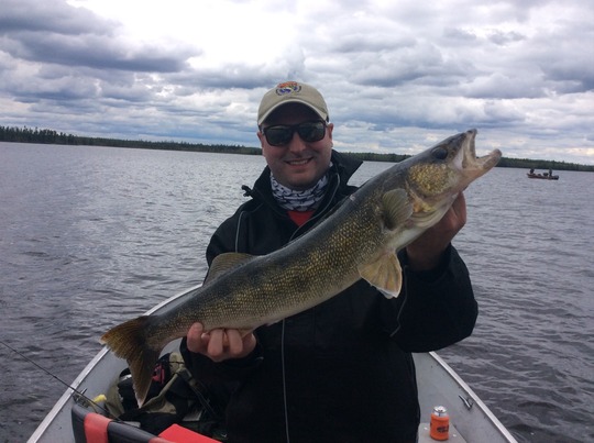 Walleye