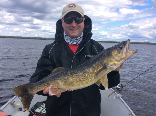 Walleye