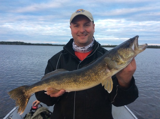 Walleye