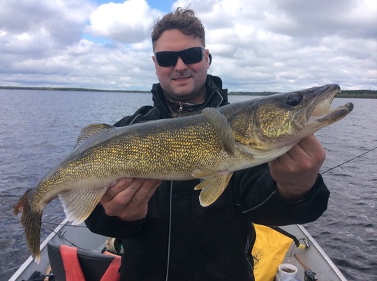 Walleye