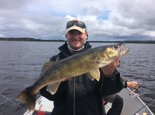 Walleye