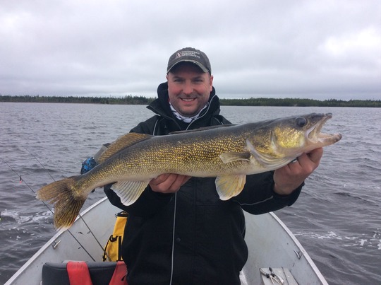 Walleye