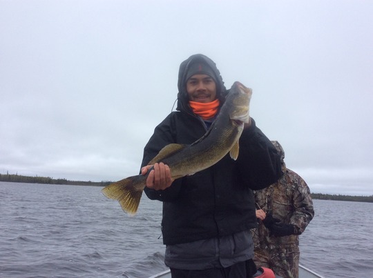 Walleye