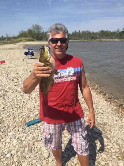Bullhead