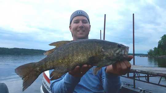 Smallmouth Bass