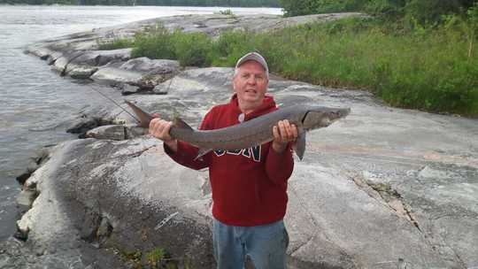 Lake Sturgeon