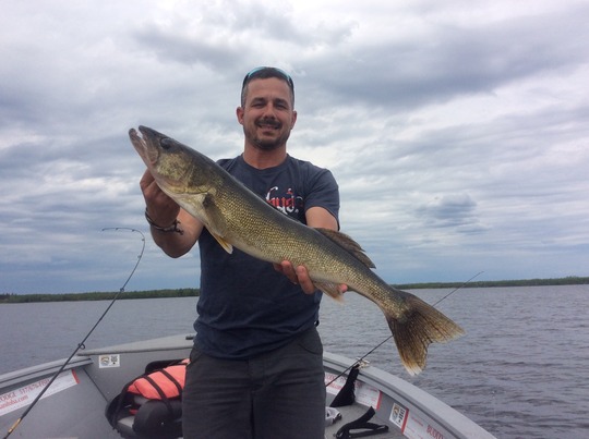 Walleye