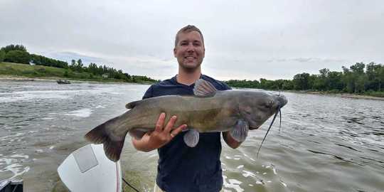Channel Catfish