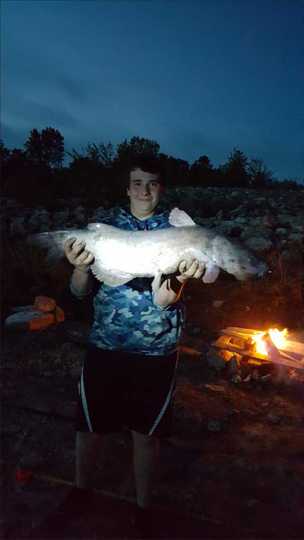 Channel Catfish