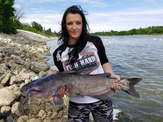 Channel Catfish