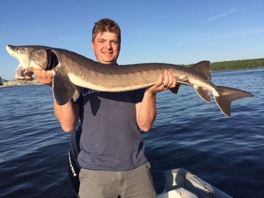 Lake Sturgeon