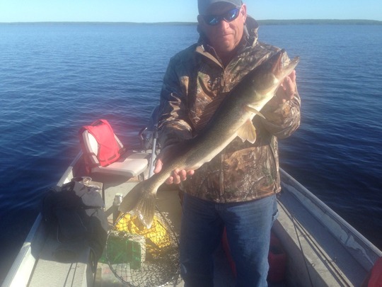 Walleye