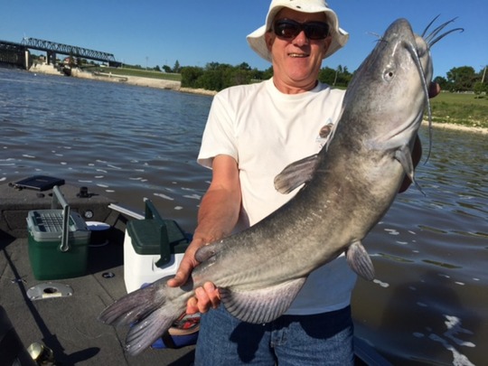 Channel Catfish