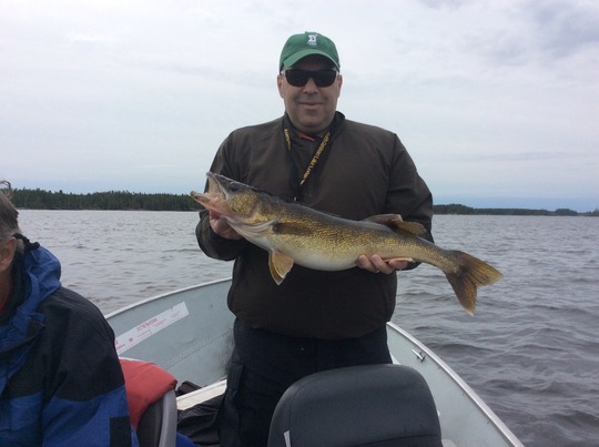 Walleye