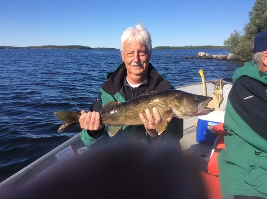 Walleye