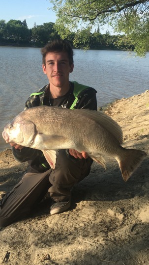 Freshwater Drum