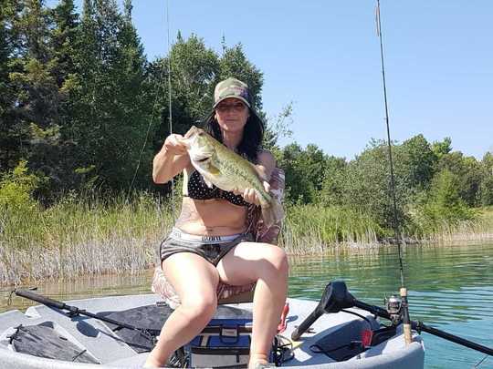 Largemouth Bass