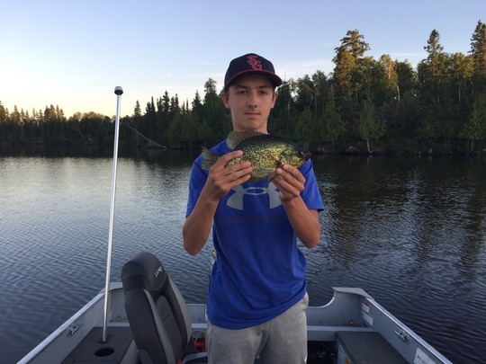 Black Crappie
