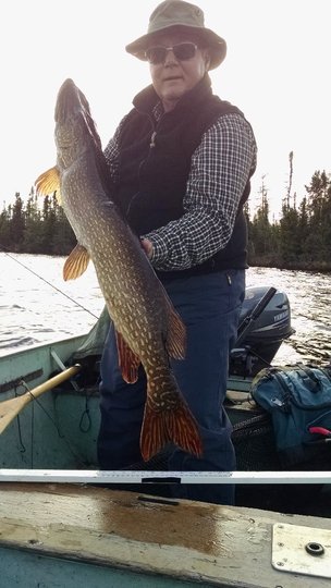Northern Pike