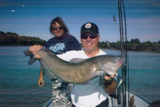 Channel Catfish