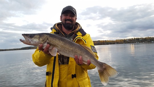 Walleye