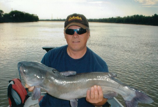 Channel Catfish