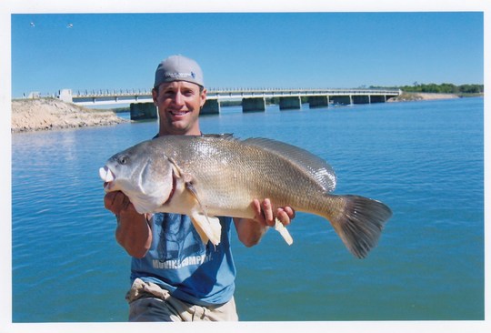 Freshwater Drum