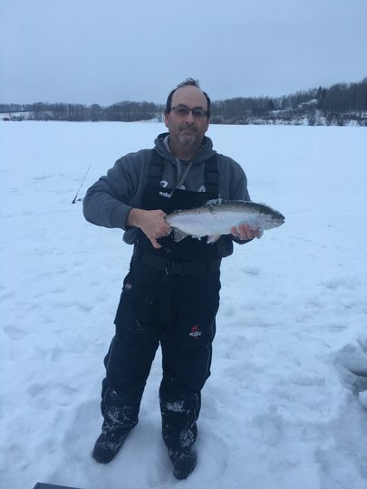 Rainbow Trout