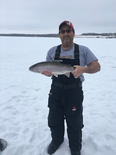 Rainbow Trout