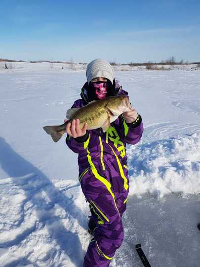 Largemouth Bass