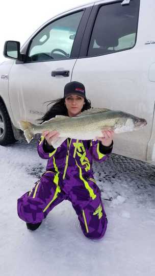 Walleye