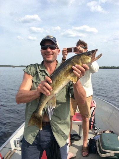 Walleye