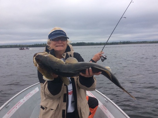 Walleye