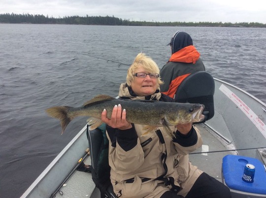 Walleye