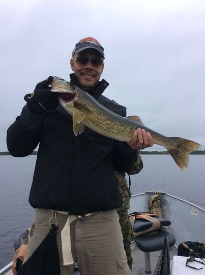 Walleye