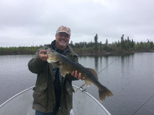 Walleye