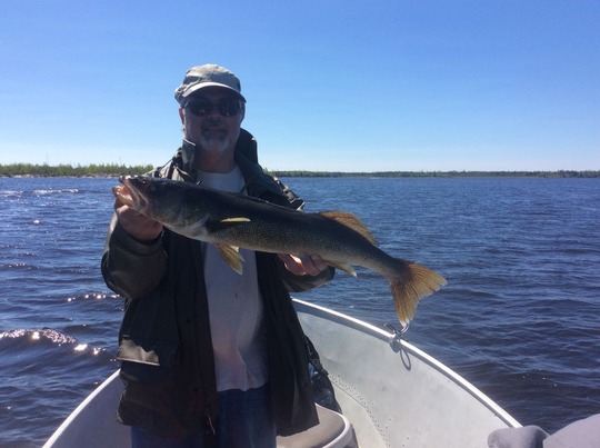 Walleye