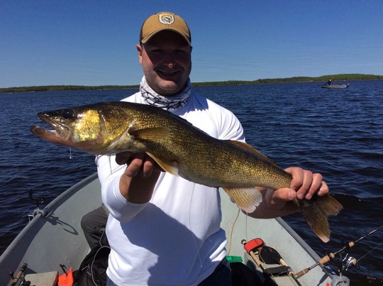 Walleye