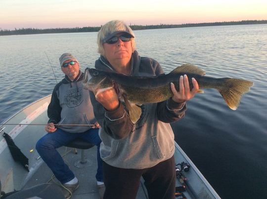 Walleye