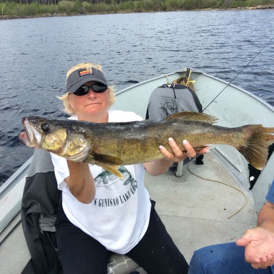 Walleye