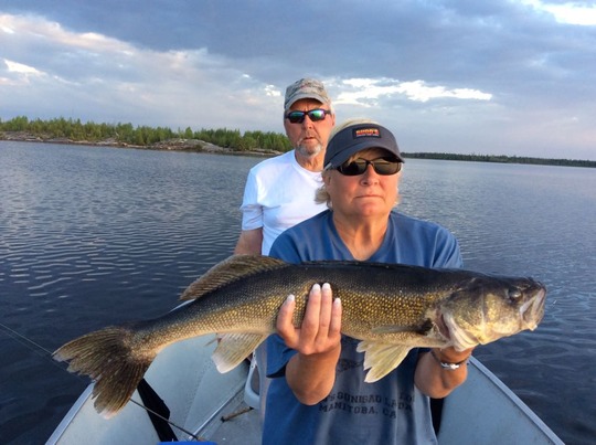 Walleye