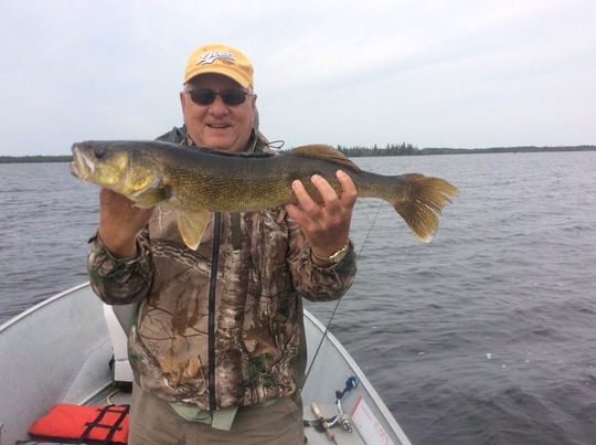 Walleye